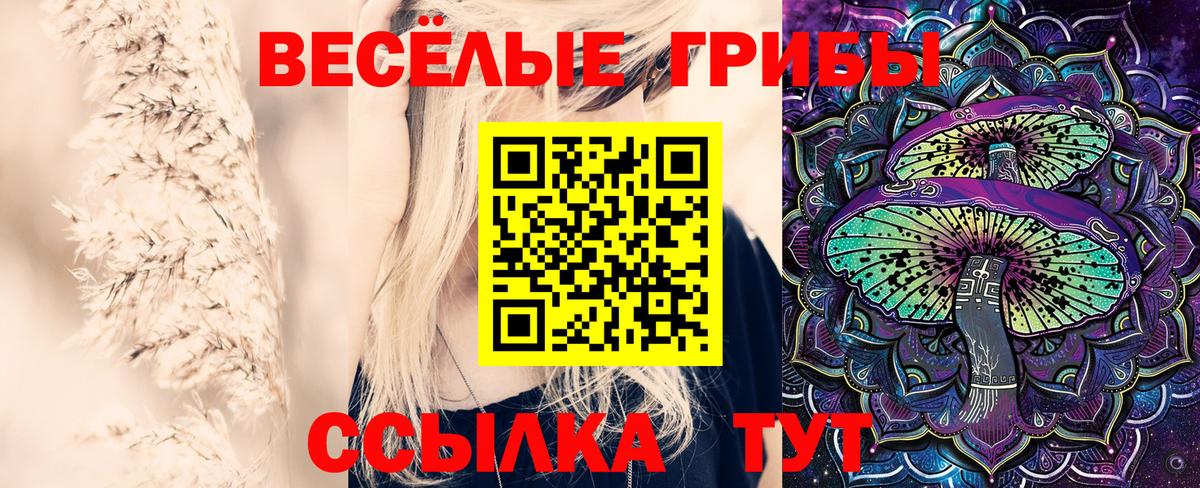 Галлюциногенные грибы GOLDEN TEACHER Красноярск