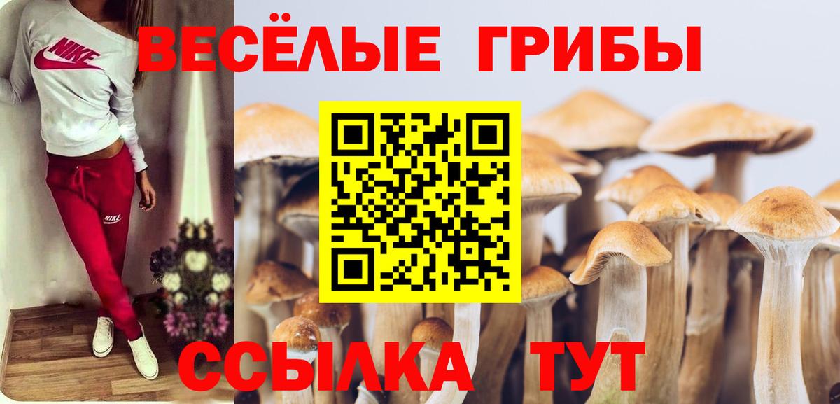 Галлюциногенные грибы Psilocybe  Вход с VPN  Красноярск  Галлюциногенные грибы мицелий 